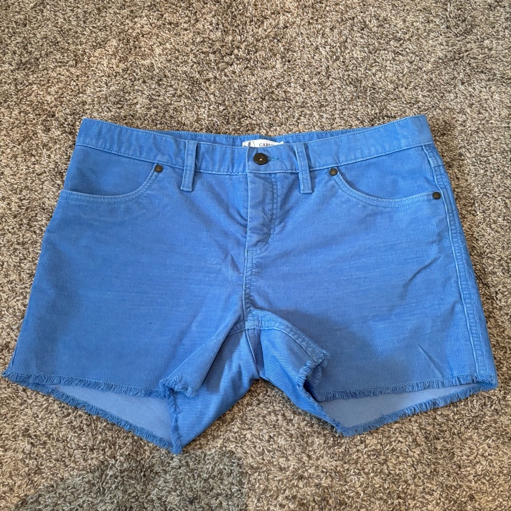 Carve Designs Blue Women's Shorts
